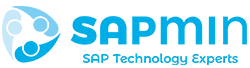 SAPMiN - Outsourcing y Administración SAP