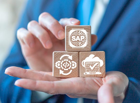 Intercambia ficheros entre tu equipo y SAP